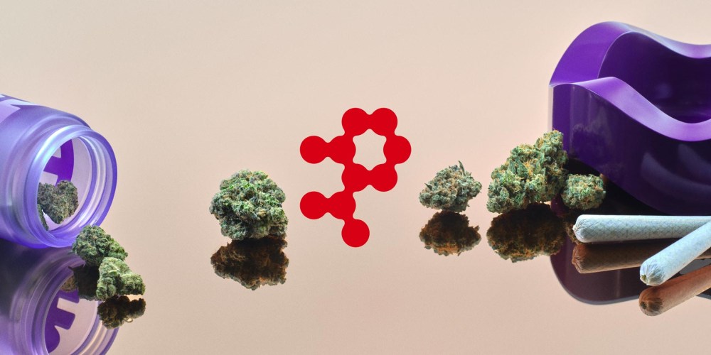 Super Okay Dreams up  ‘The Great American Cannabis Company’ With THC Design Rebrand