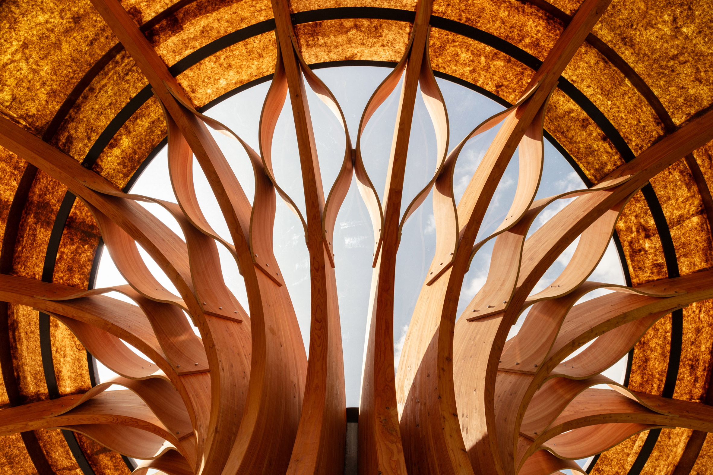 Carbon Garden Pavilion by Mizzi Studio