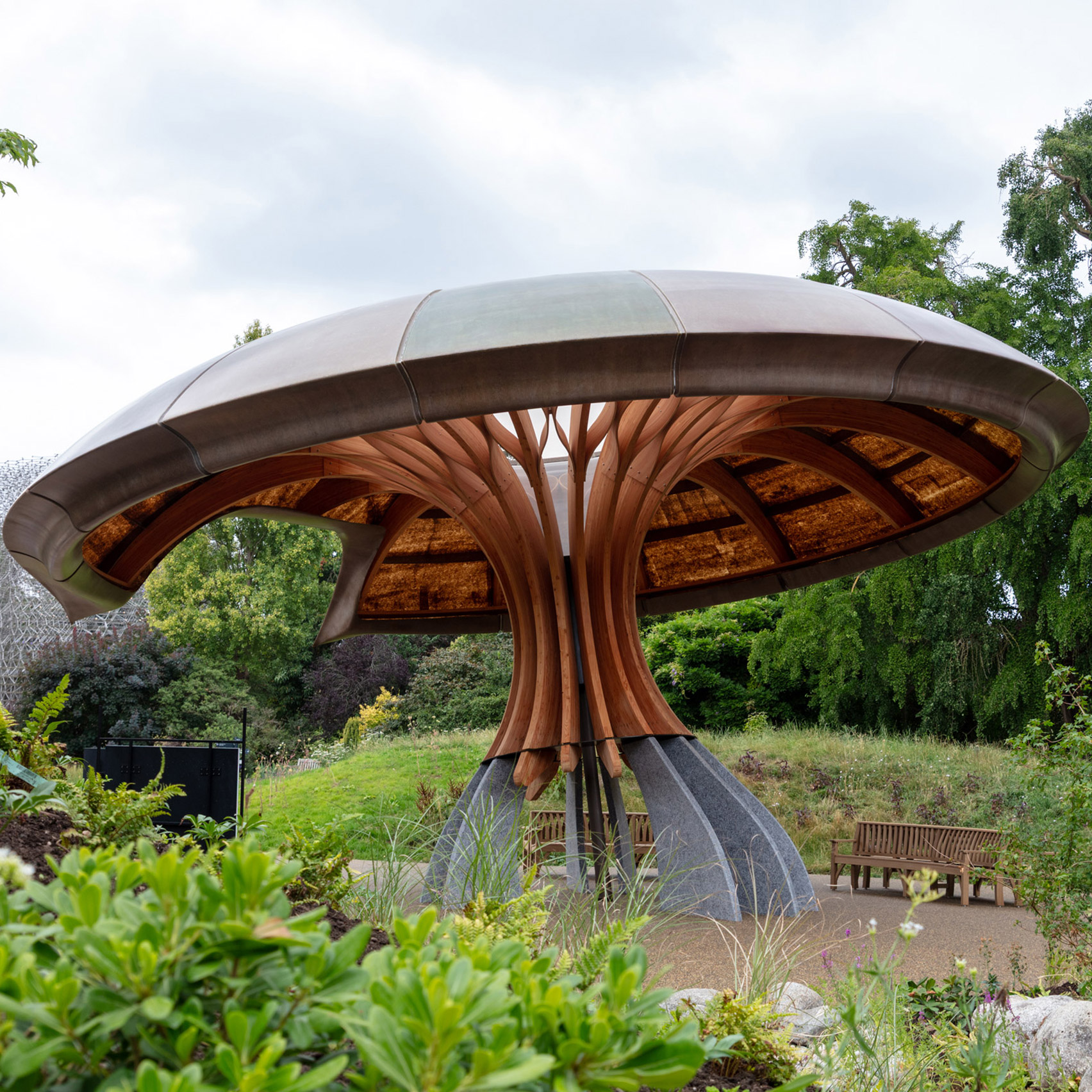 Mushroom-like canopy