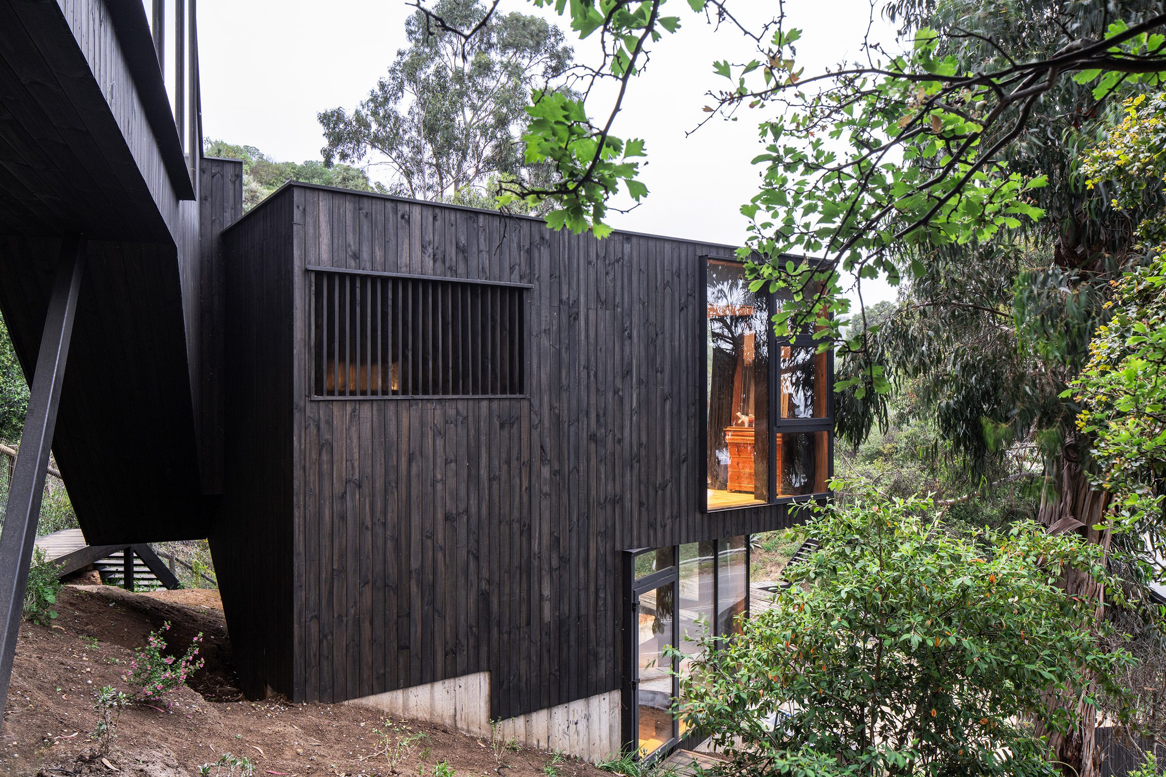 Black-clad chilean house