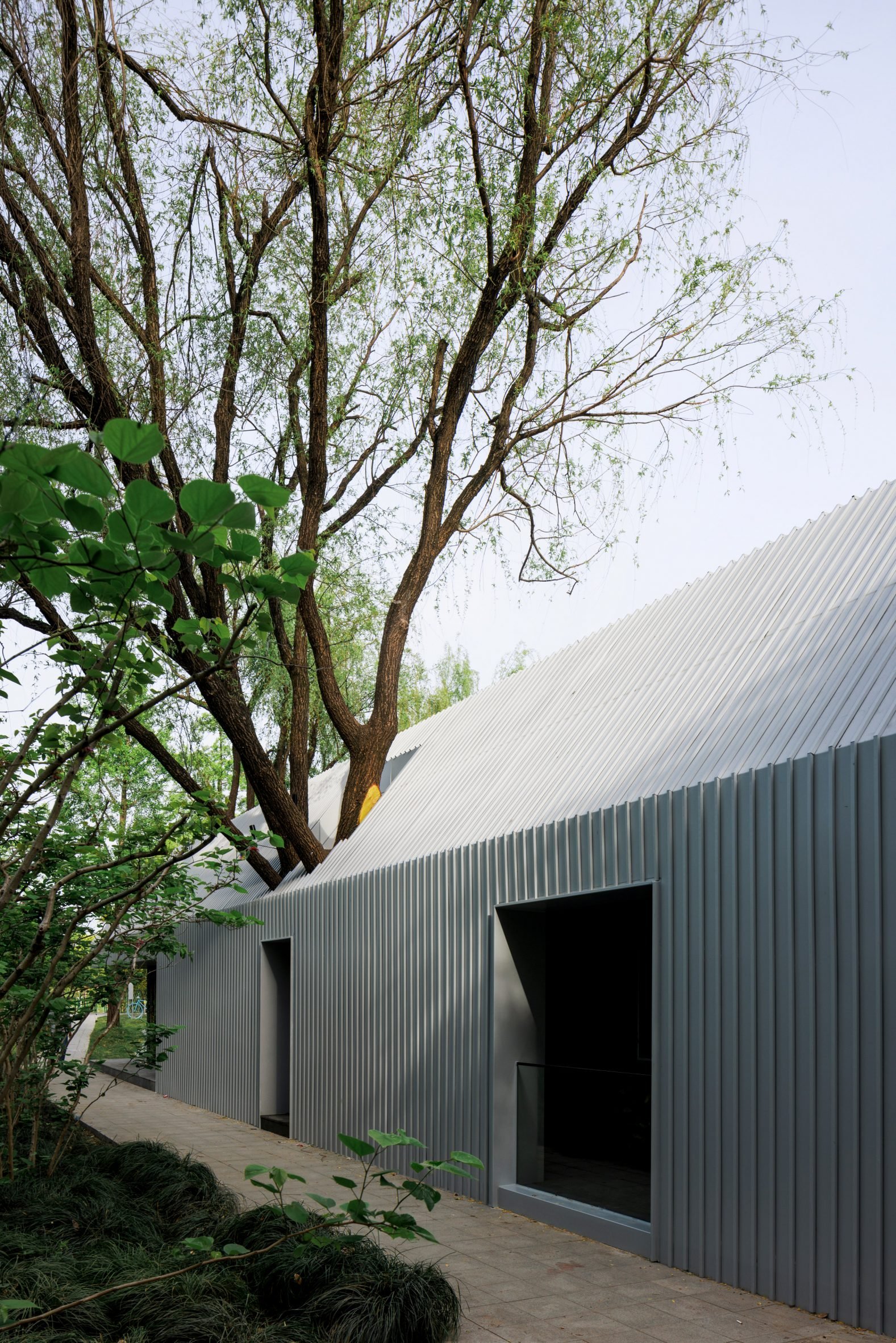 View of tree growing through The Lake House by Wutopia Lab