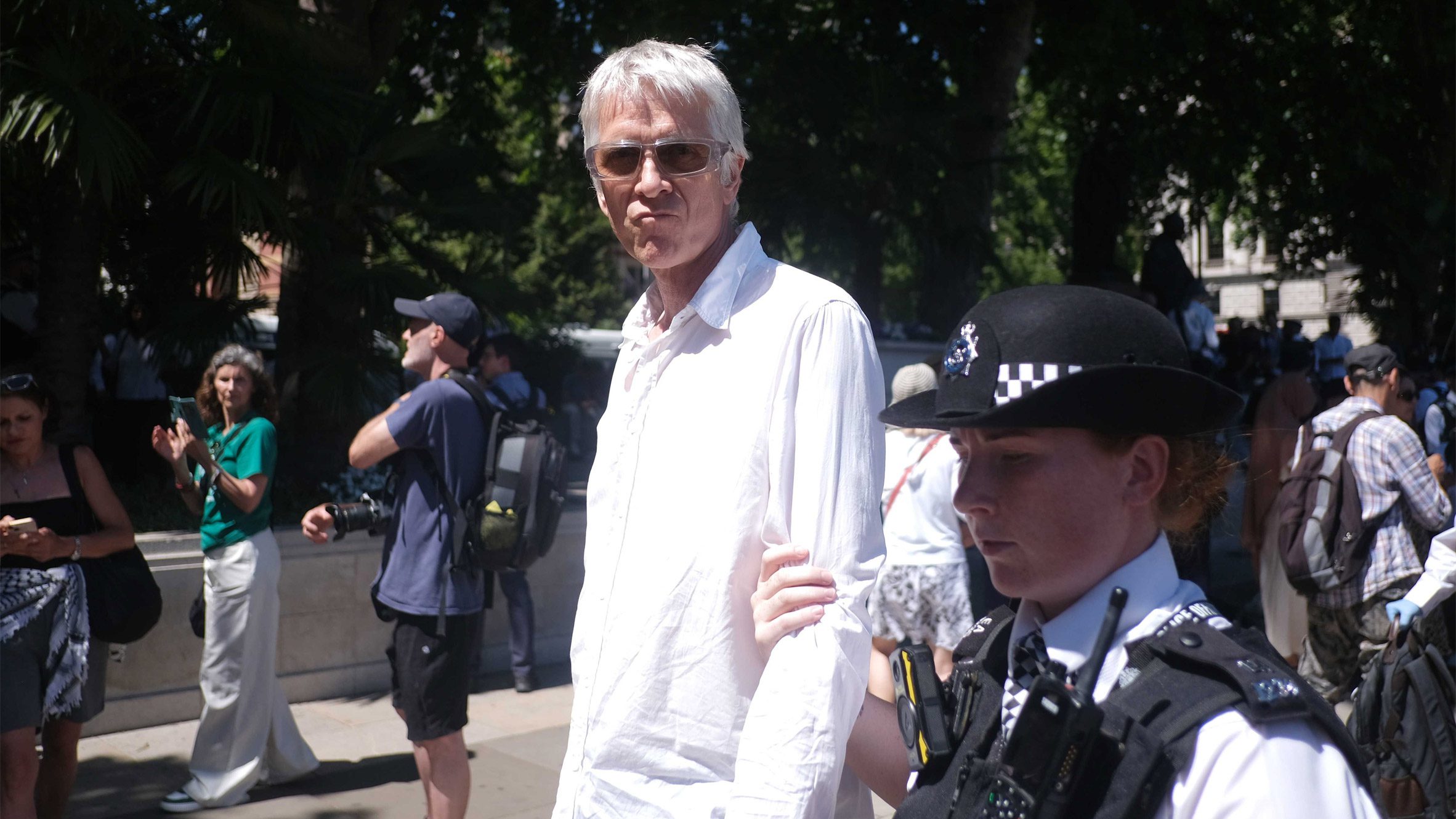 Architect Steve Fox arrested at Palestine Action protest