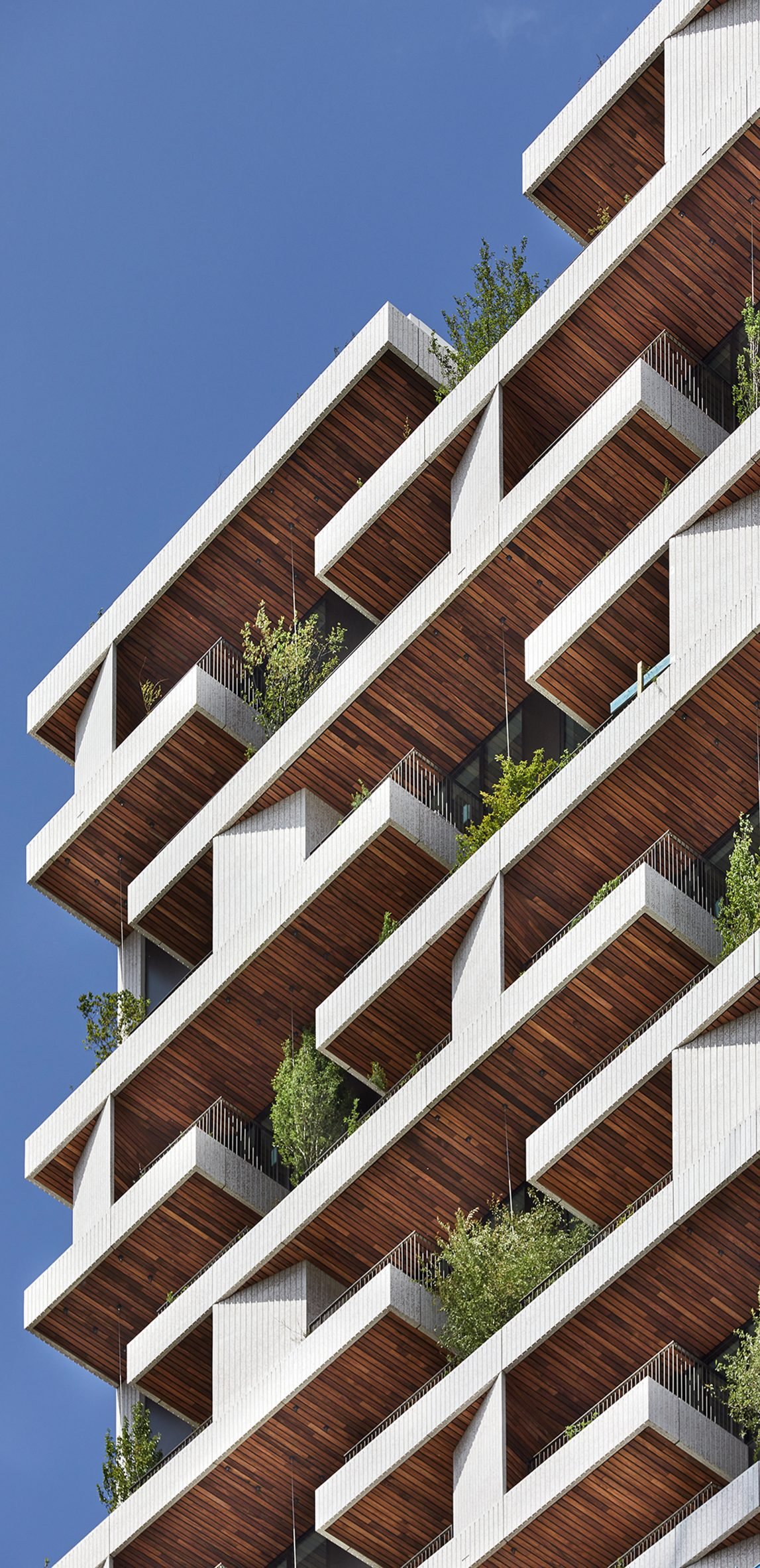 View of dark wood used on balconies by Stefano Boeri Architetti