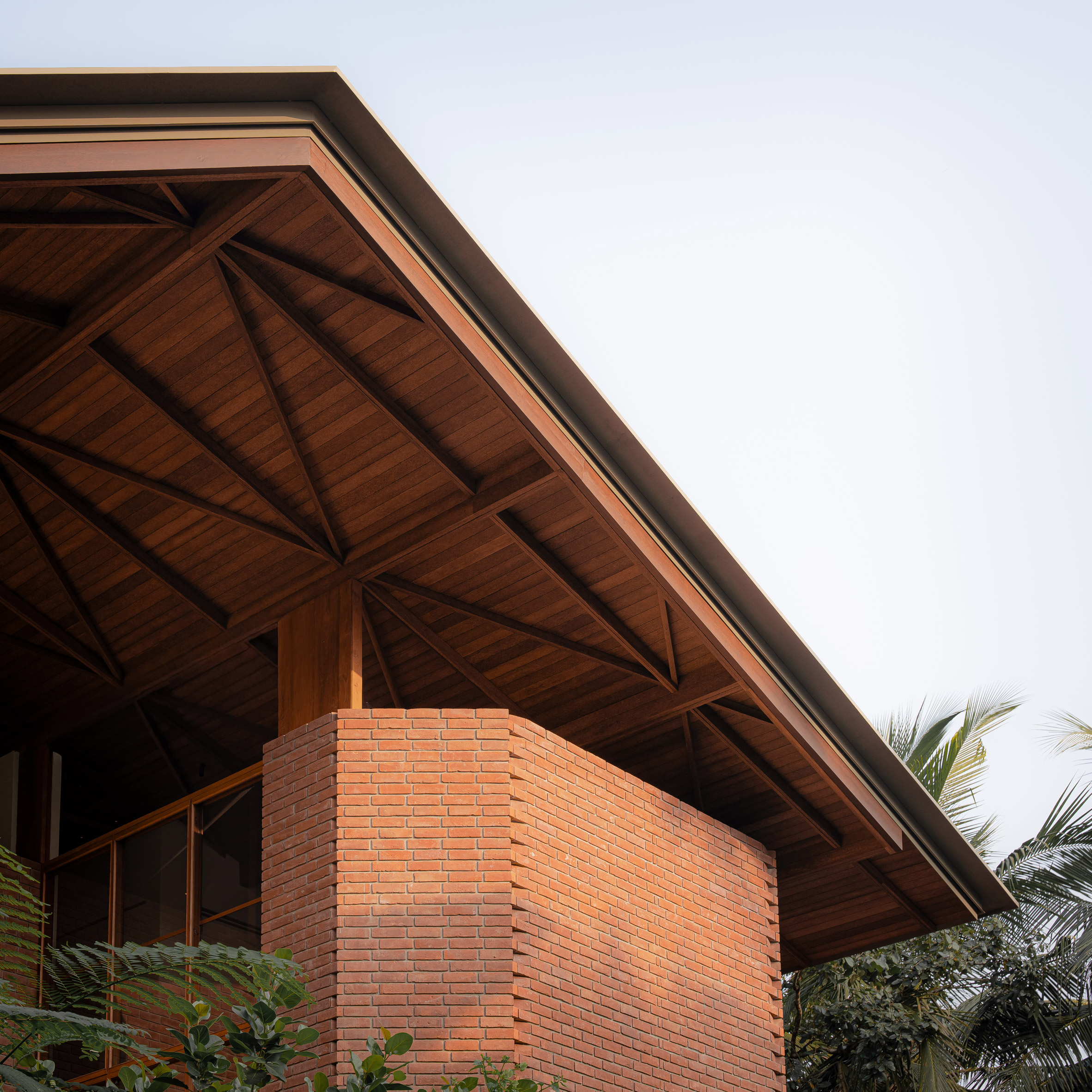 Coconut roof