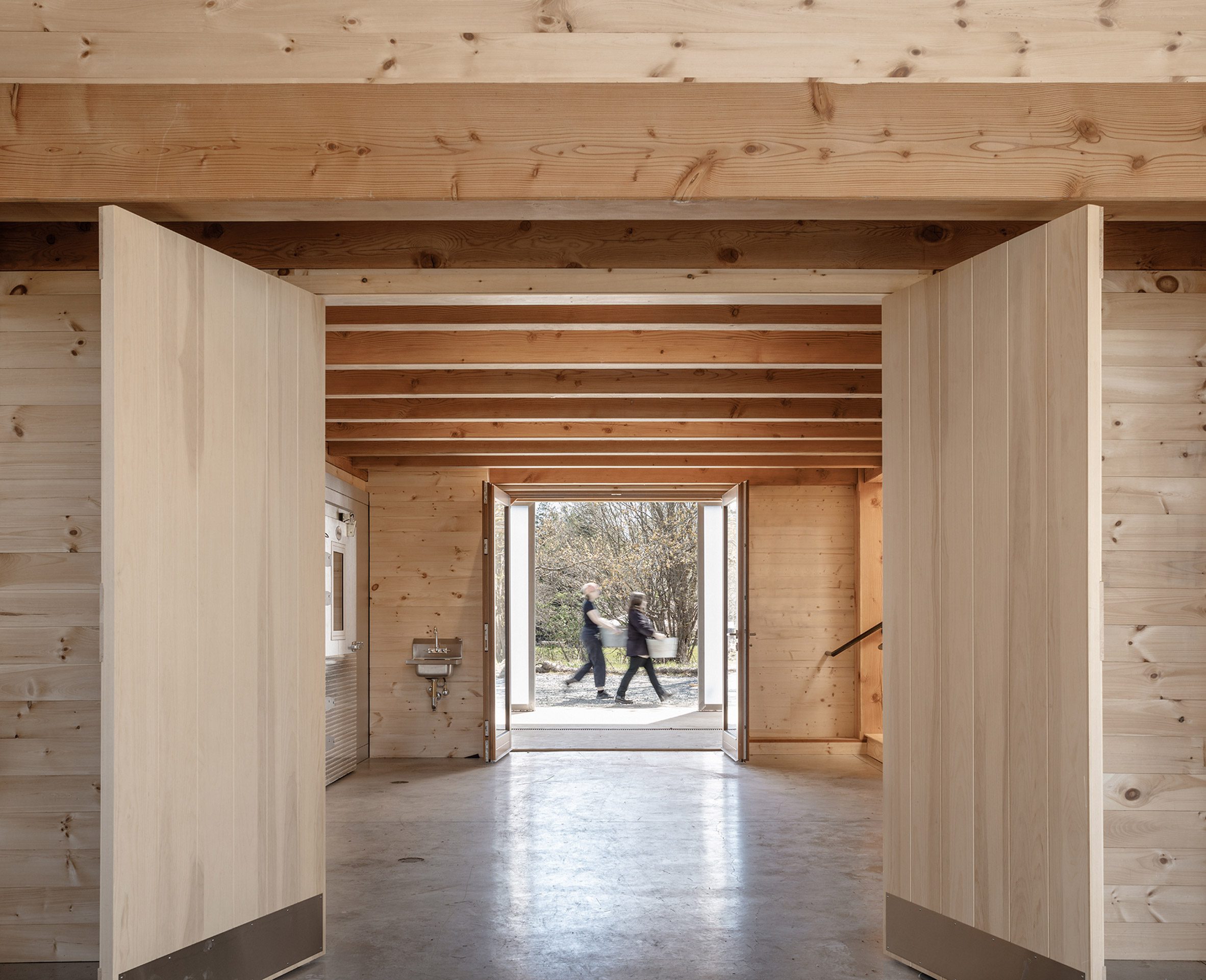 Pine wood interior door