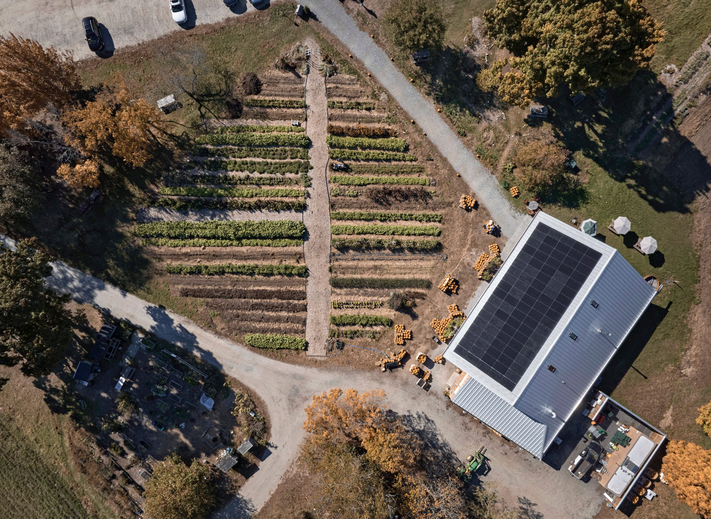 Payette farmstand roof view with photovoltaics and crops