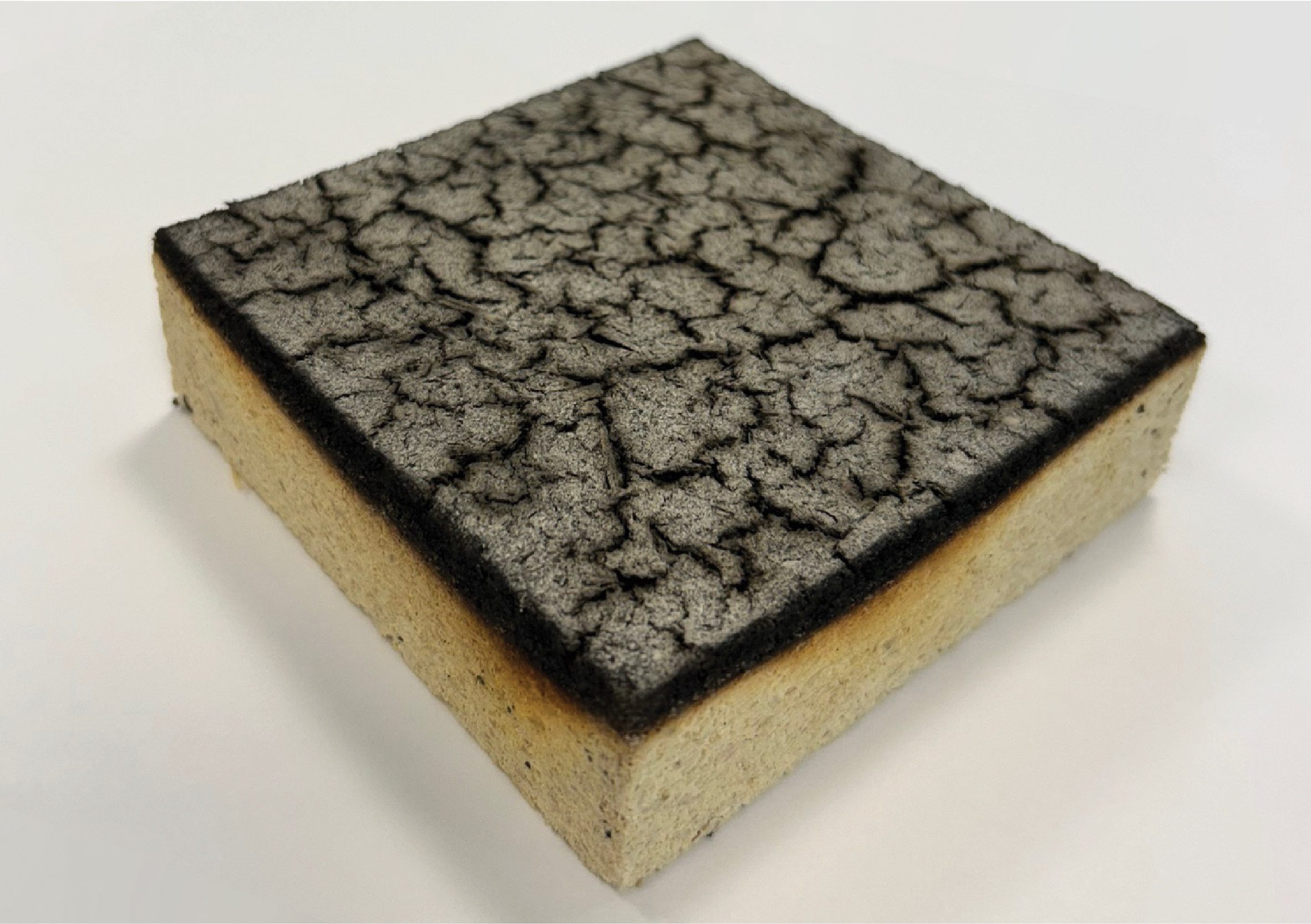 Fireproof sawdust struvite composite material by researchers at ETH Zurich and Empa