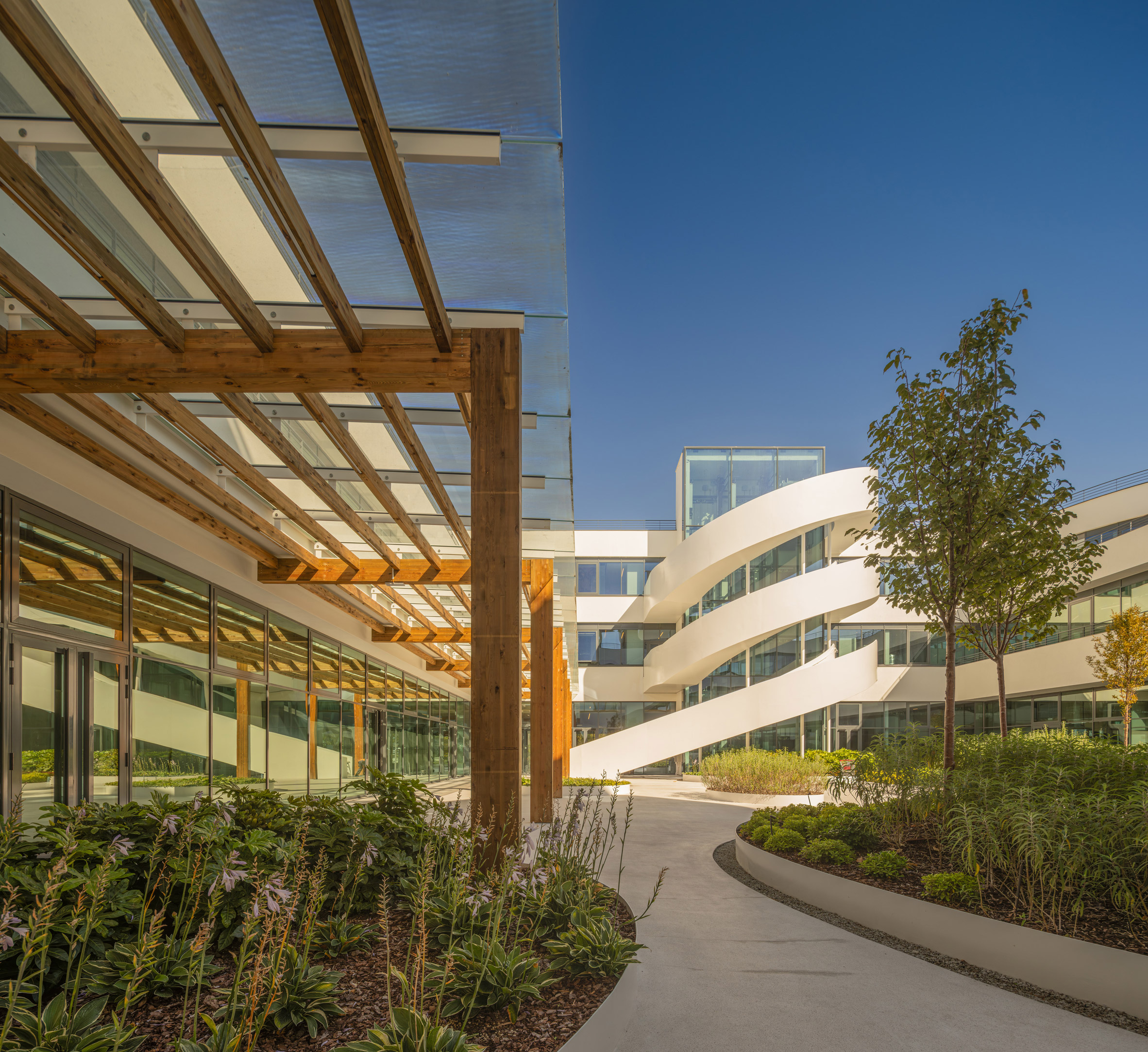 Shaded by timber canopies at Lisbon office