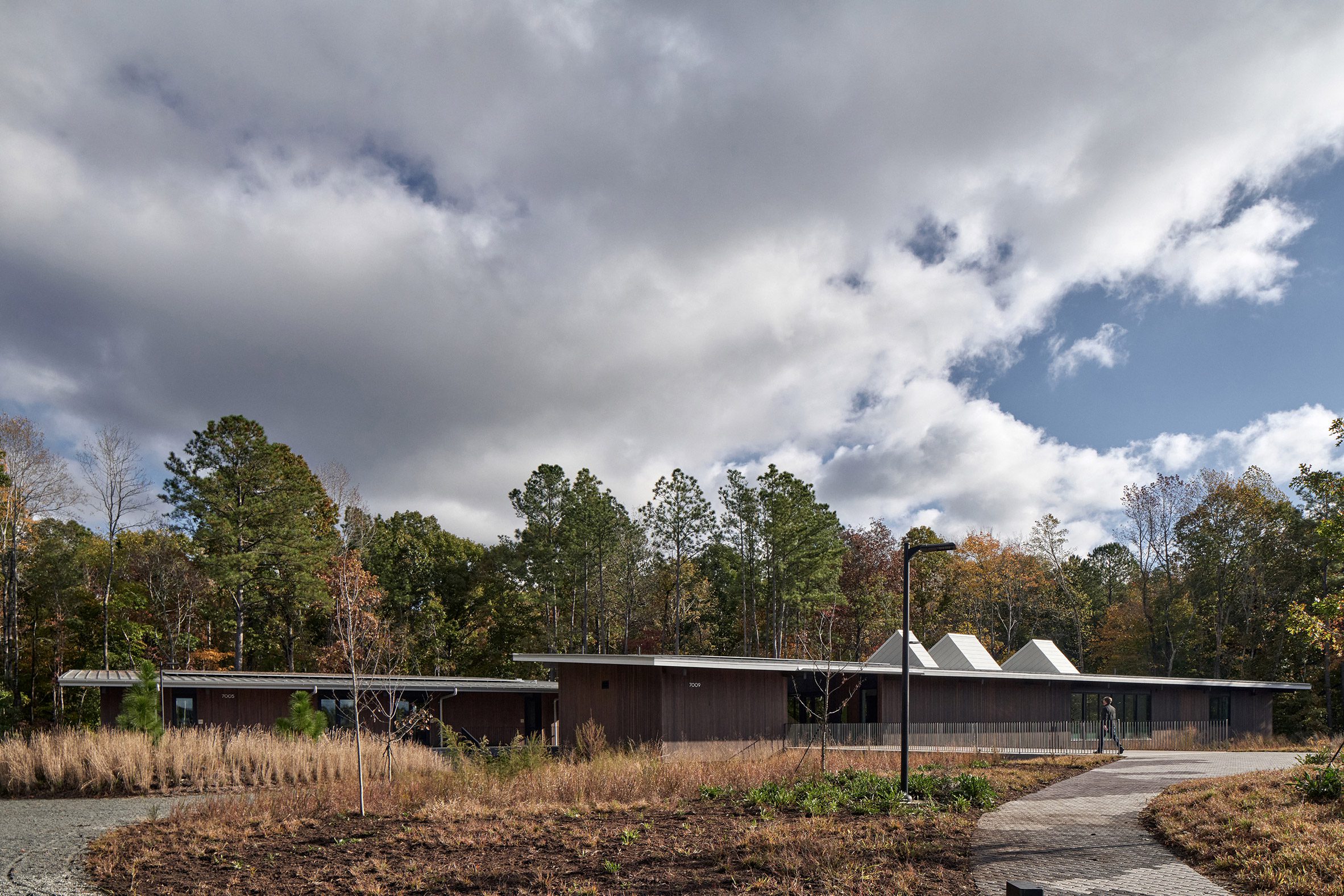 Beech Bluff County Park by In Situ Studio and Surface 678