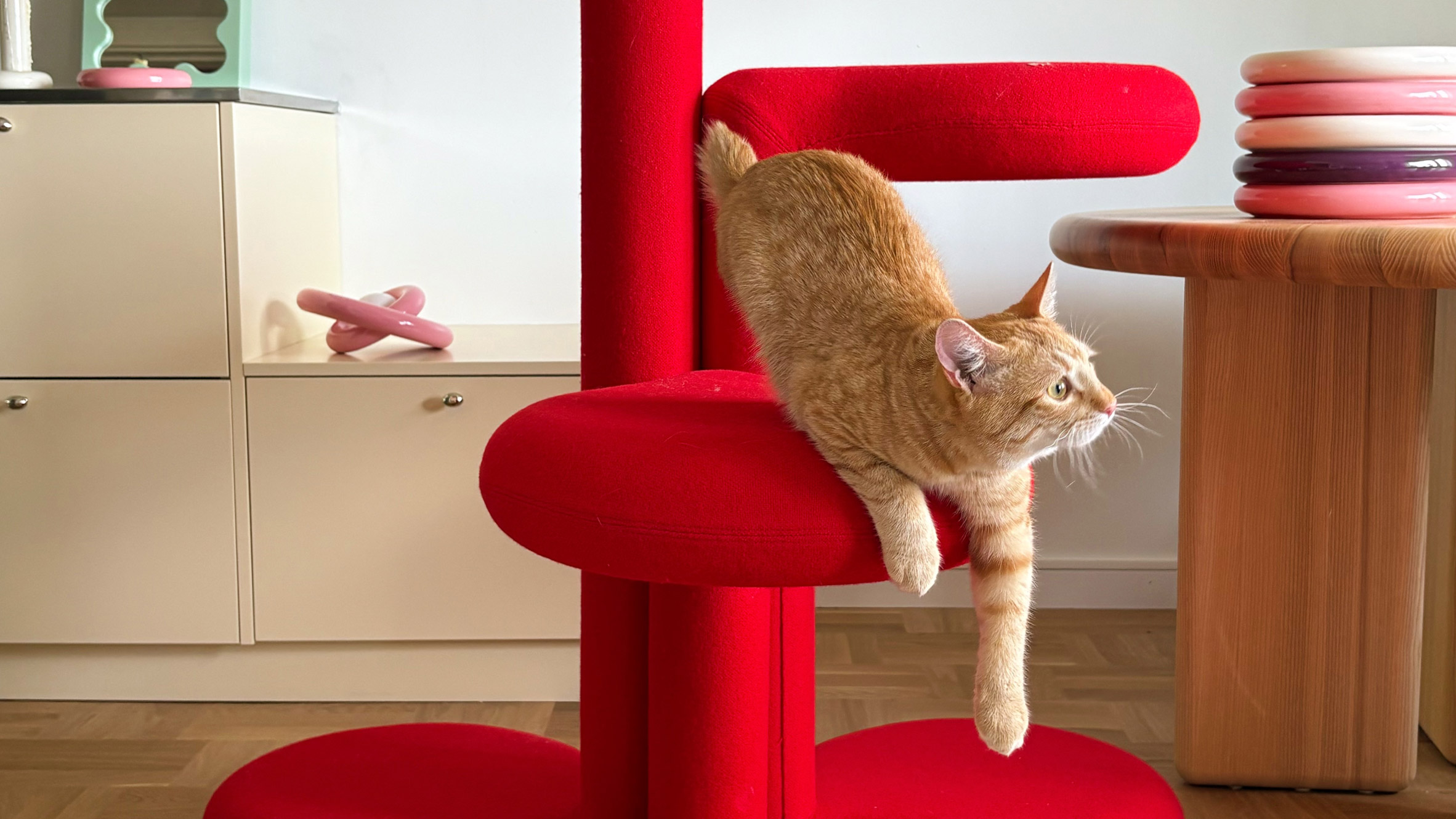 Cat on a red cat tree