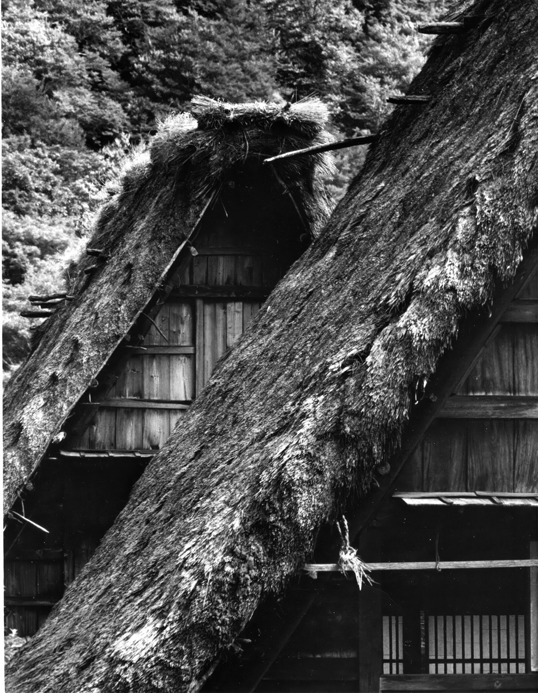 Minka in Shirakawa Village (c. 18th century), captured by Chuji Hirayama in 1950